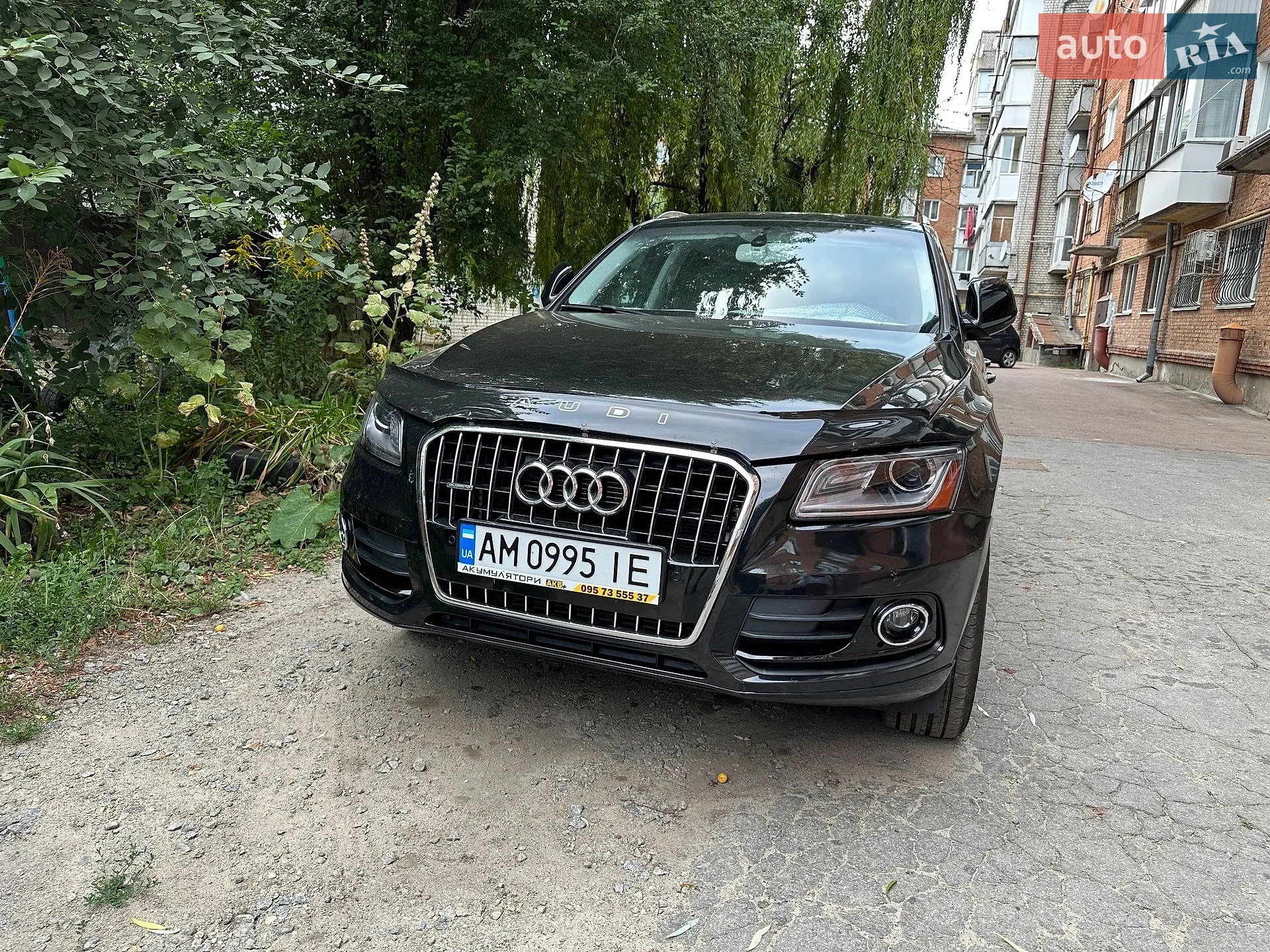 2015 Audi Q5 - фото 1