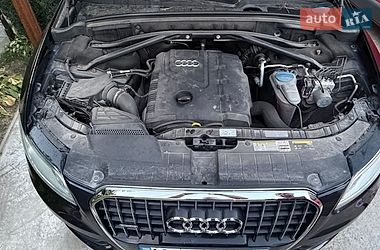Внедорожник / Кроссовер Audi Q5 2014 в Василькове фото 14 Внедорожник / Кроссовер Audi Q5 2014 в Василькове