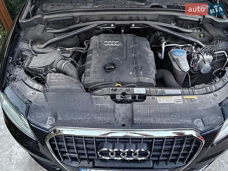Внедорожник / Кроссовер Audi Q5 2014 в Василькове фото 14 Внедорожник / Кроссовер Audi Q5 2014 в Василькове