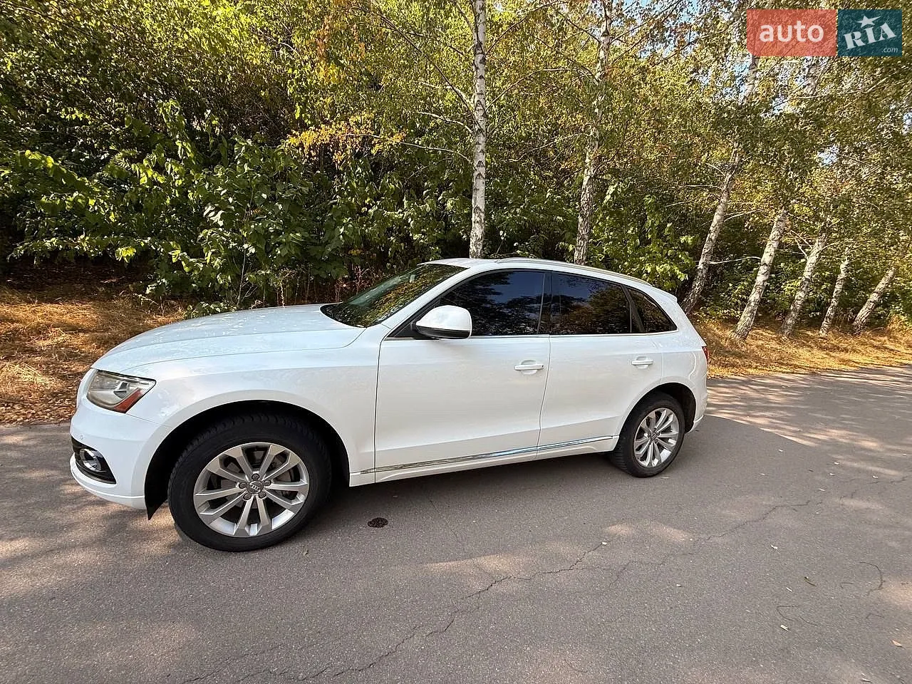 2013 Audi Q5 - мініатюра 2