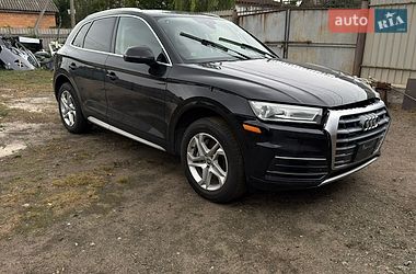 Внедорожник / Кроссовер Audi Q5 2019 в Броварах