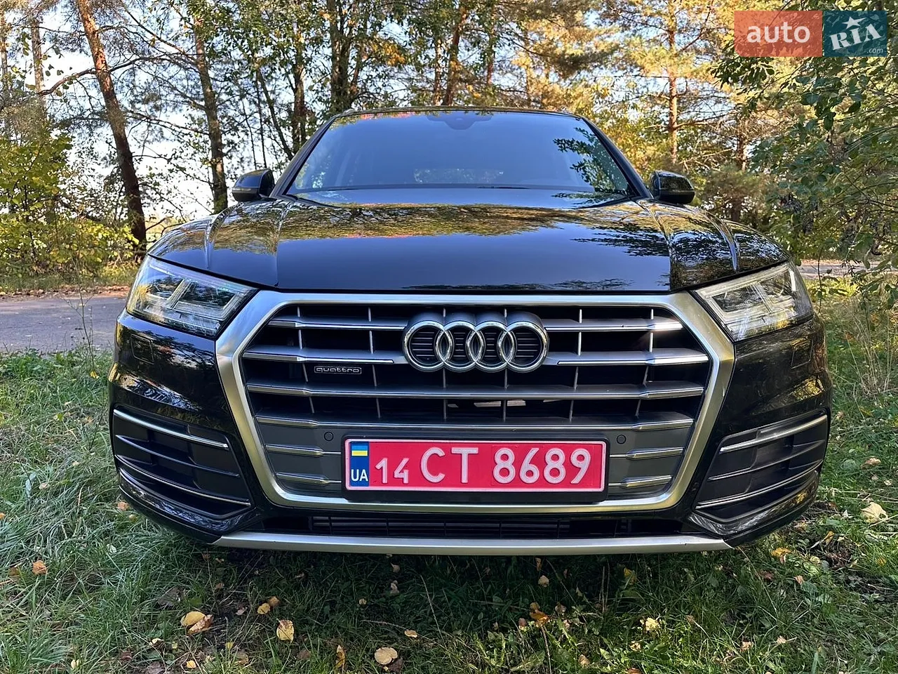 Audi Q5 2019