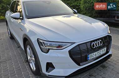 Внедорожник / Кроссовер Audi Q7 e-tron 2022 в Виннице