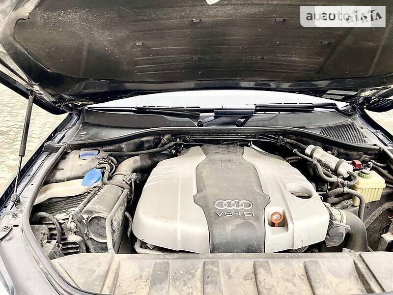 Внедорожник / Кроссовер Audi Q7 2011 в Окнах фото 23 Внедорожник / Кроссовер Audi Q7 2011 в Окнах
