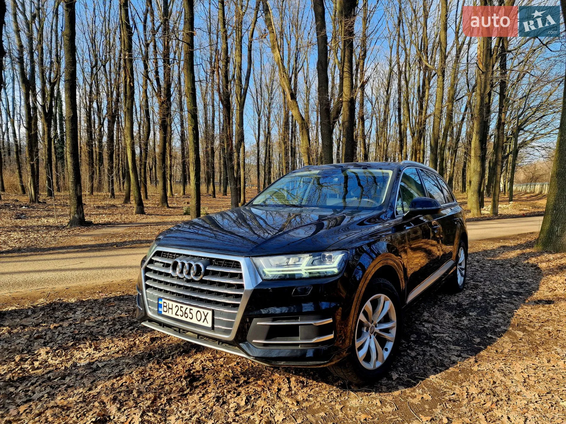 2019 Audi Q7 - мініатюра 3