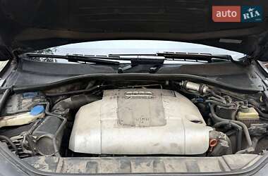Внедорожник / Кроссовер Audi Q7 2010 в 
