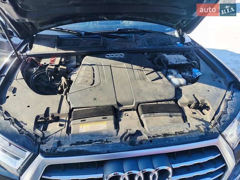 Внедорожник / Кроссовер Audi Q7 2017 в Рокитном фото 13 Внедорожник / Кроссовер Audi Q7 2017 в Рокитном