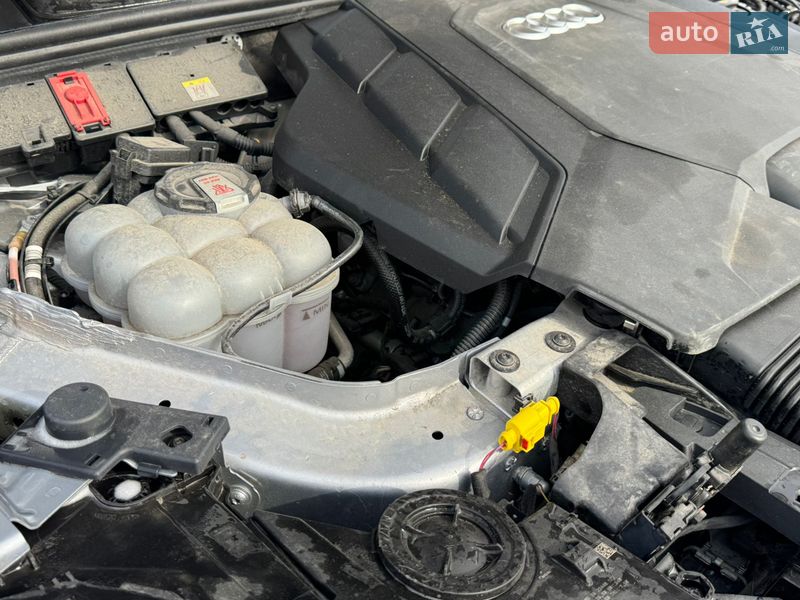 Внедорожник / Кроссовер Audi Q7 2021 в Полтаве