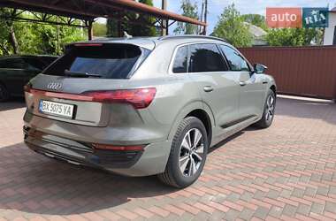 Внедорожник / Кроссовер Audi Q8 e-tron 2024 в 