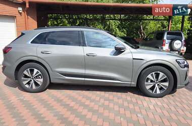 Внедорожник / Кроссовер Audi Q8 e-tron 2024 в 