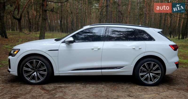 Внедорожник / Кроссовер Audi Q8 e-tron 2023 в Горишних Плавнях