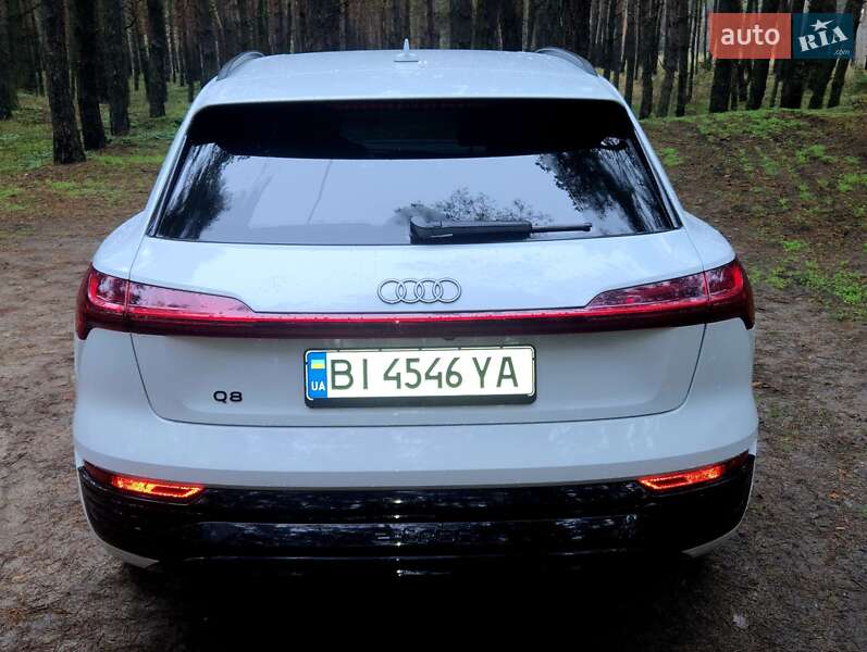 Внедорожник / Кроссовер Audi Q8 e-tron 2023 в Горишних Плавнях