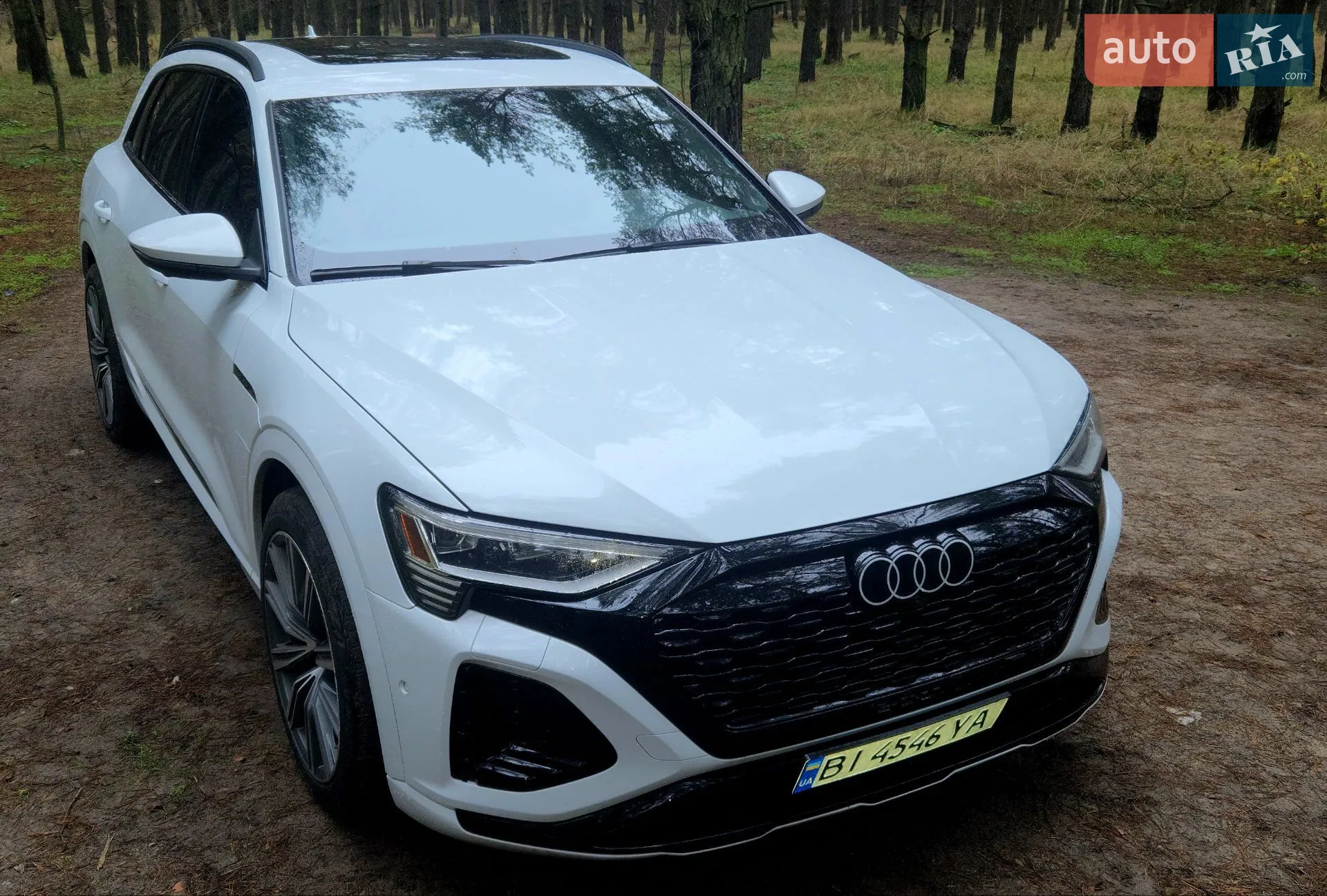 2023 Audi Q8 - мініатюра 4