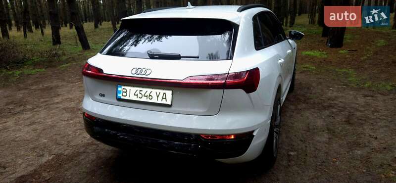 Внедорожник / Кроссовер Audi Q8 e-tron 2023 в Горишних Плавнях
