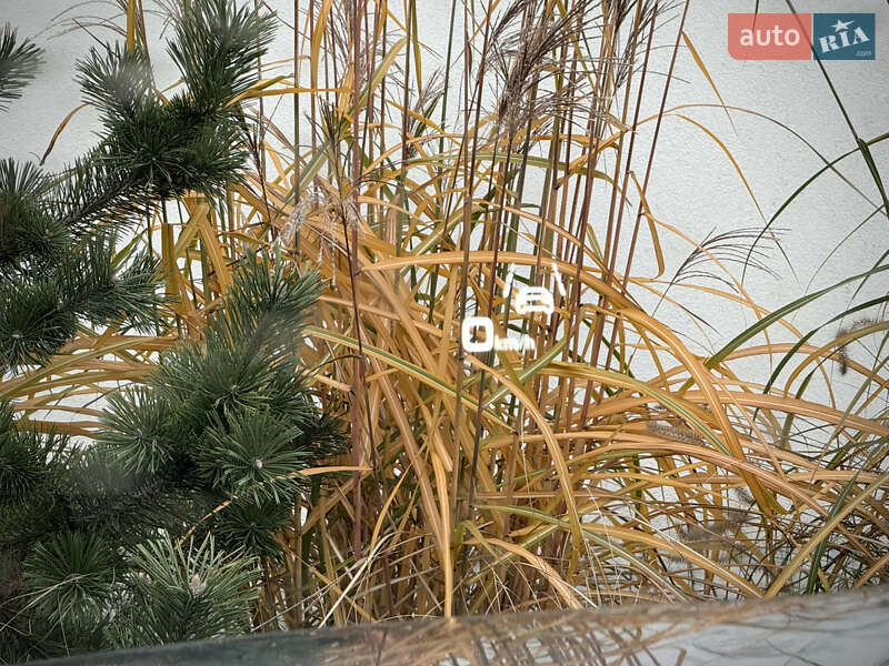 Позашляховик / Кросовер Audi Q8 Sportback e-tron 2023 в Луцьку фото 107 Позашляховик / Кросовер Audi Q8 Sportback e-tron 2023 в Луцьку