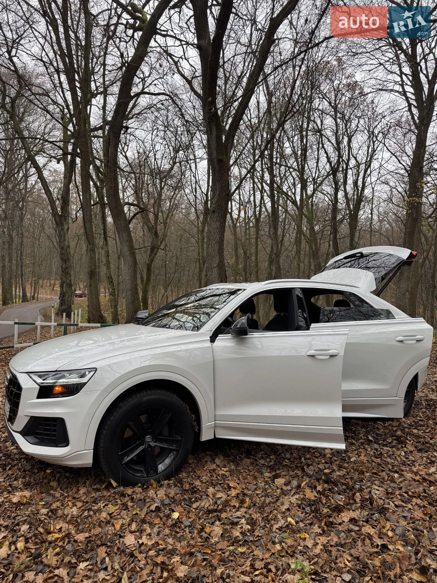 2018 Audi Q8 - мініатюра 15
