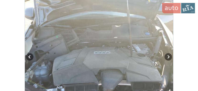 Внедорожник / Кроссовер Audi Q8 2020 в Луцке фото 7 Внедорожник / Кроссовер Audi Q8 2020 в Луцке