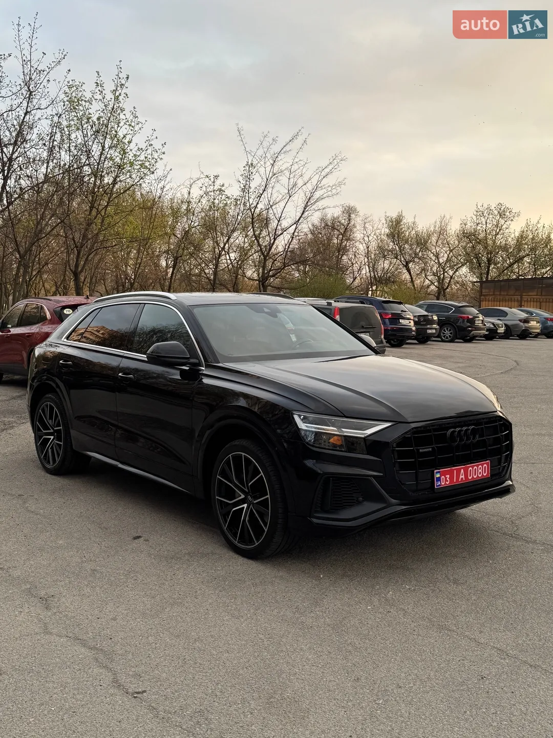 2019 Audi Q8 - мініатюра 6
