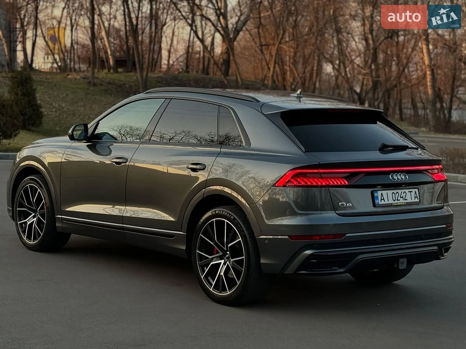 2019 Audi Q8 - мініатюра 2
