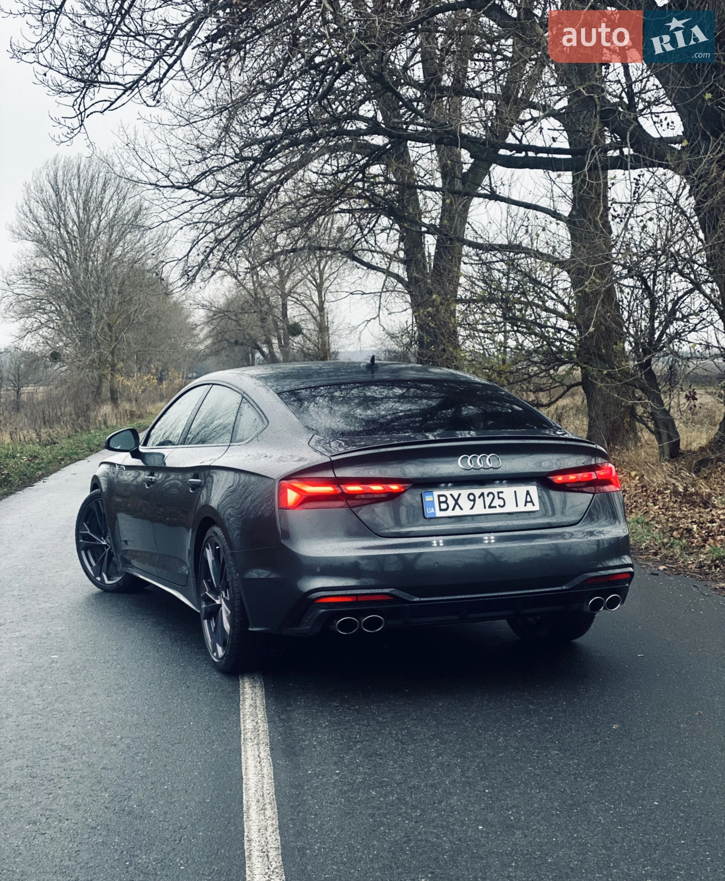 2021 Audi S5 - мініатюра 2