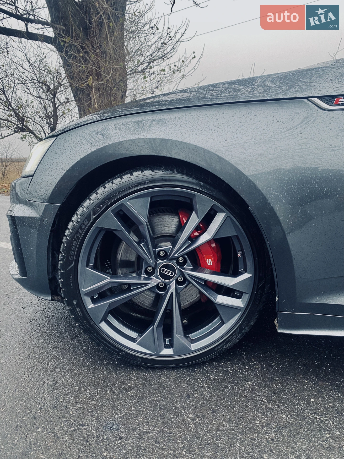 2021 Audi S5 - мініатюра 5