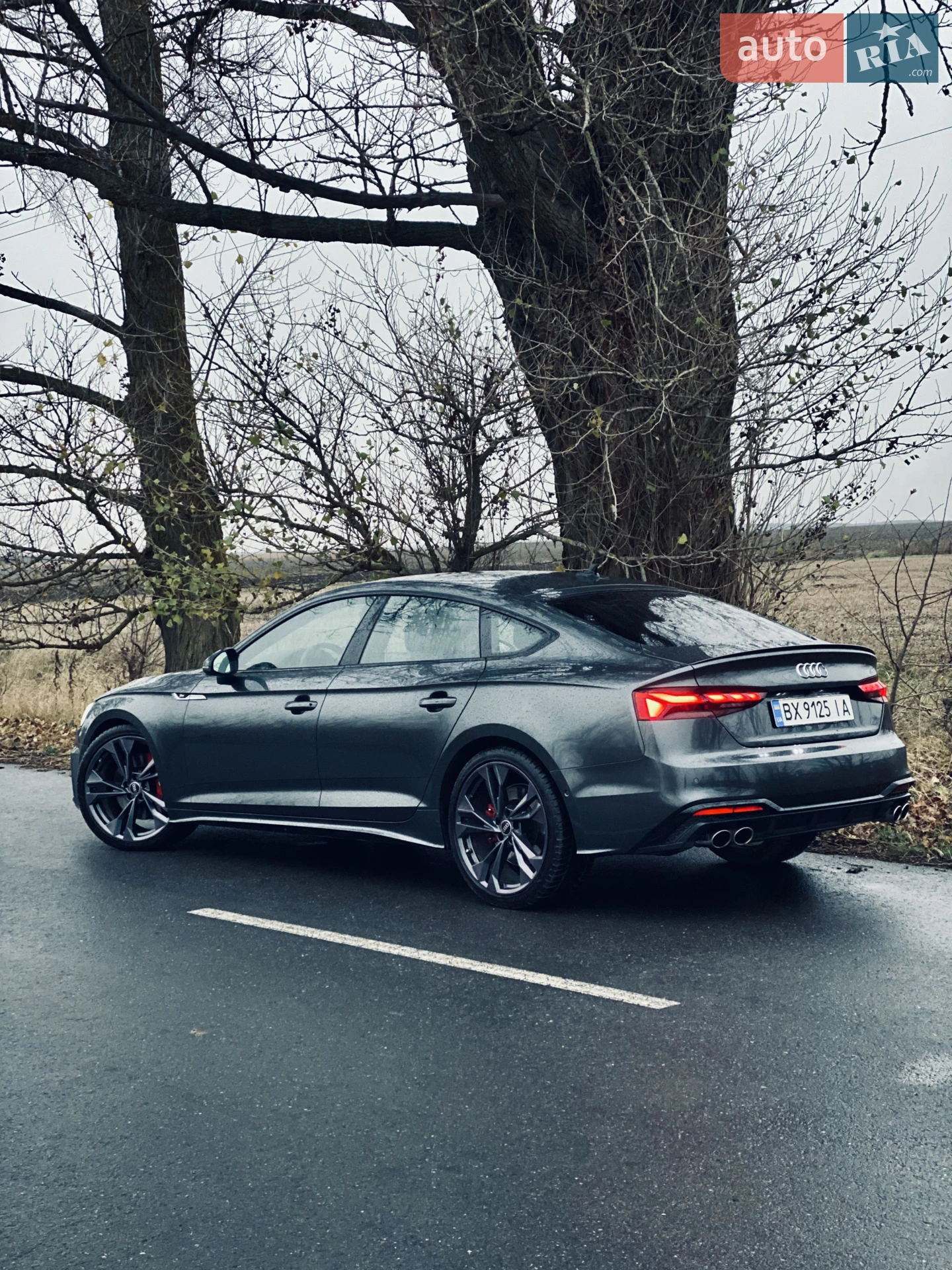 2021 Audi S5 - мініатюра 4