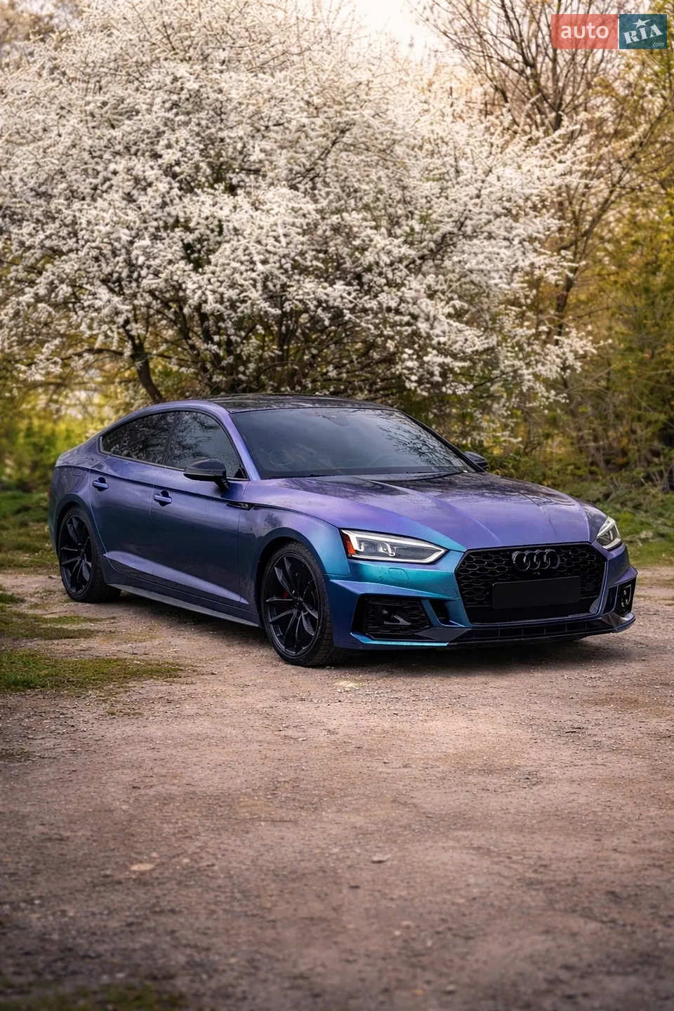 2018 Audi S5 - мініатюра 2