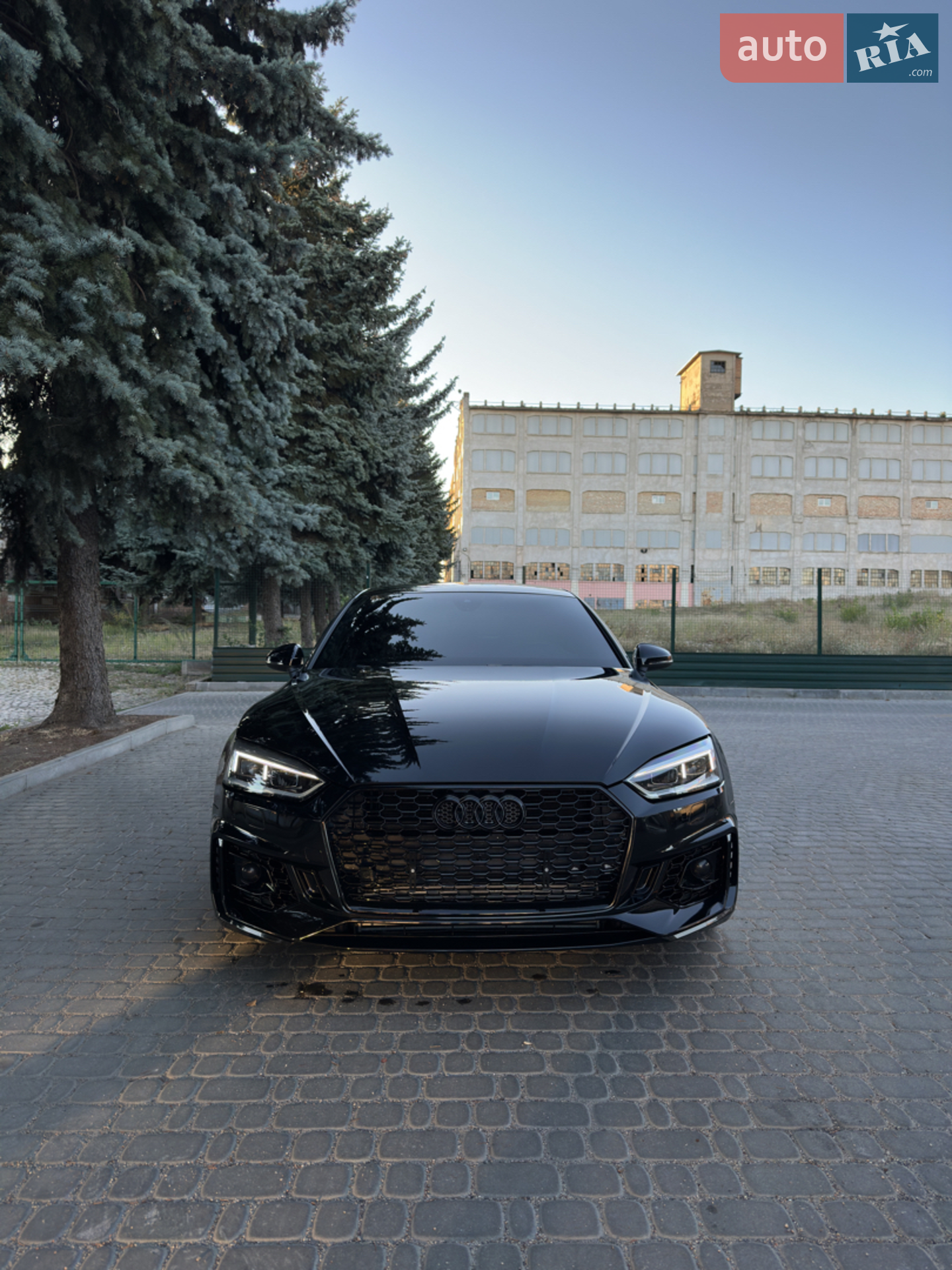 2019 Audi S5 - фото 1