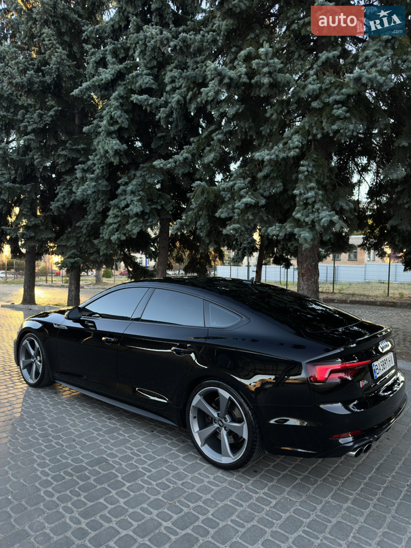 2019 Audi S5 - мініатюра 5