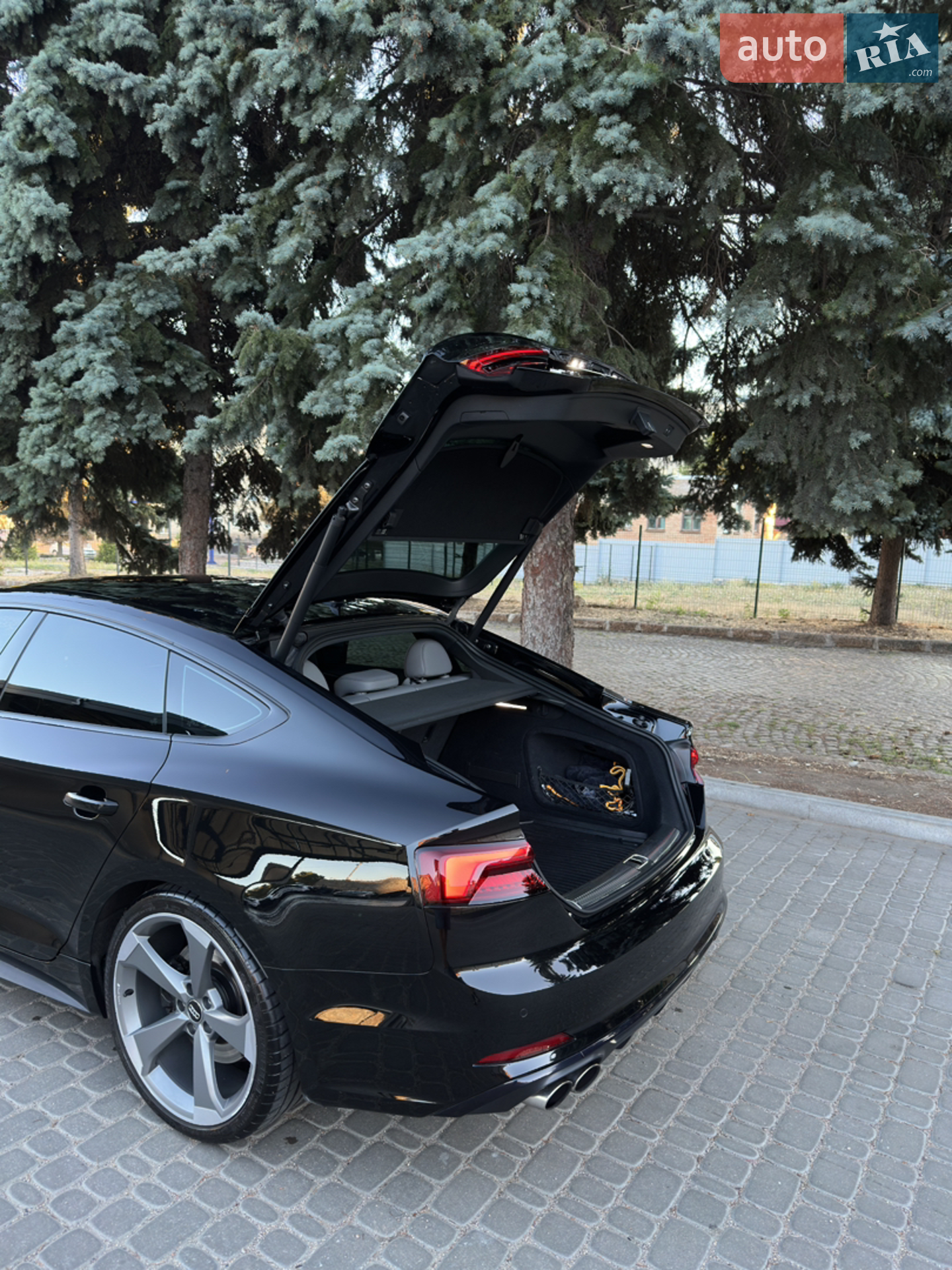 2019 Audi S5 - мініатюра 17