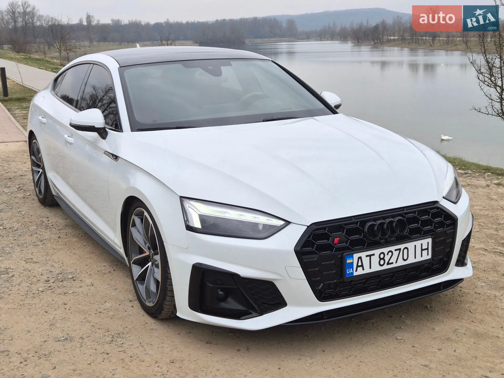 2019 Audi S5 - мініатюра 4