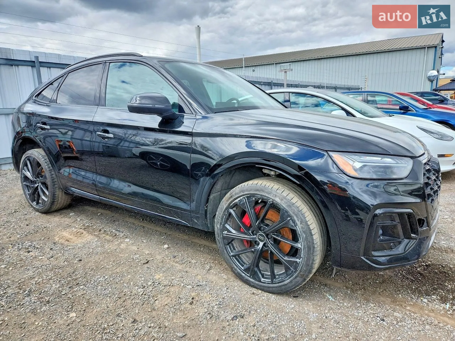 2024 Audi SQ5 Sportback - фото 1