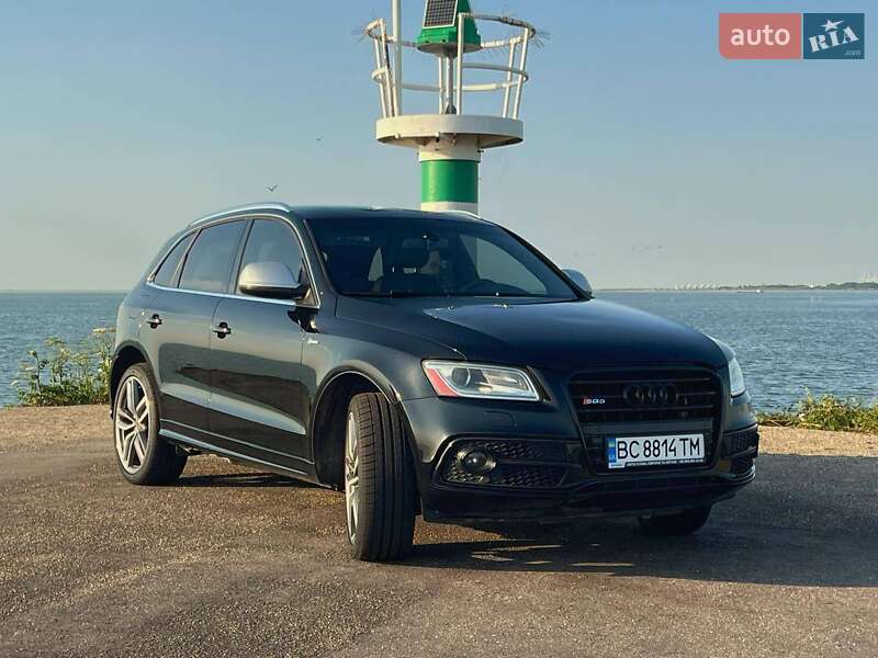 Audi SQ5 2013