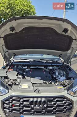 Внедорожник / Кроссовер Audi SQ5 2021 в 