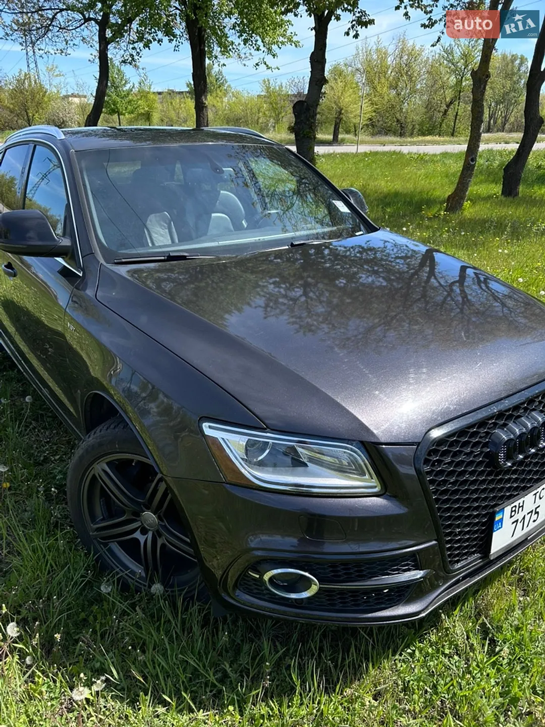 2013 Audi SQ5 - фото 1