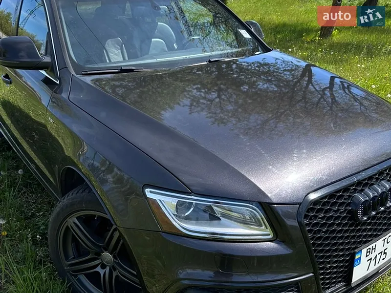 Audi SQ5 2013