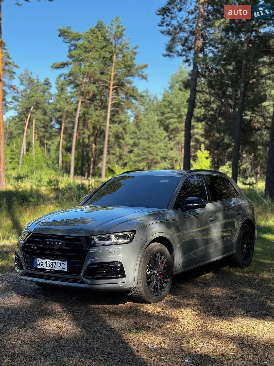2019 Audi SQ5 - мініатюра 2