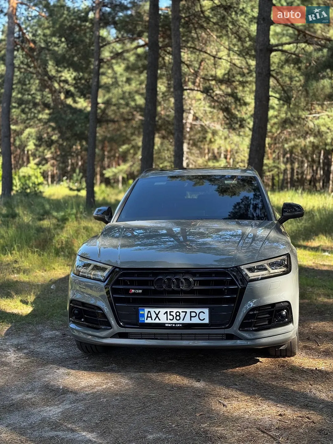 2019 Audi SQ5 - фото 1