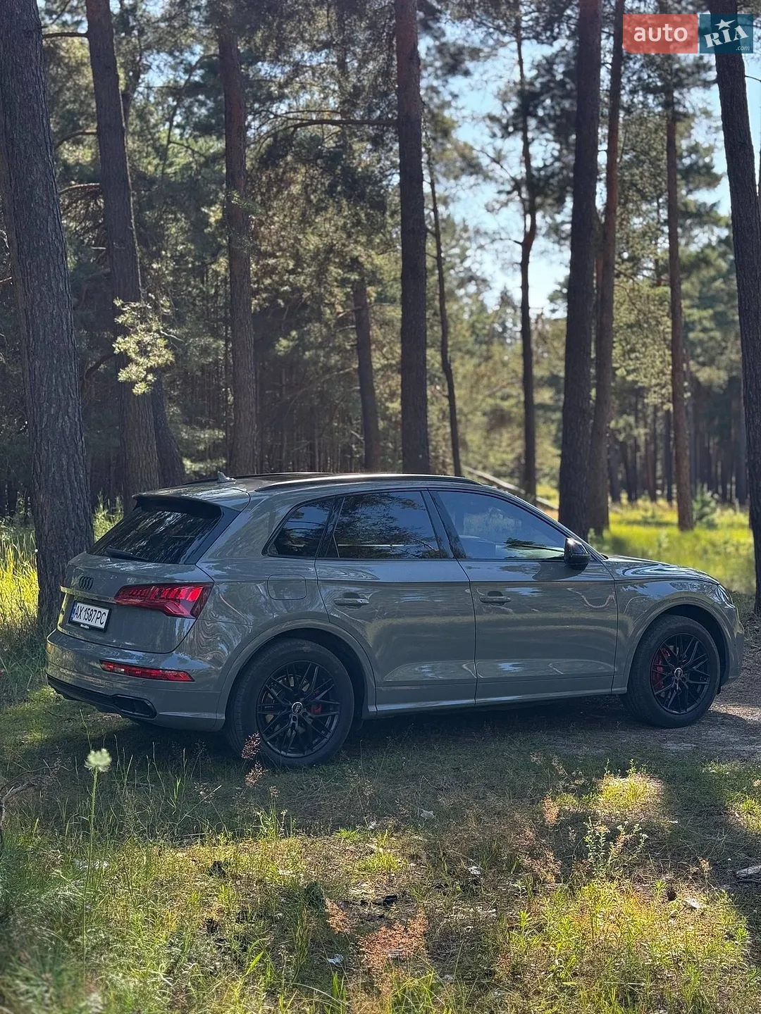 2019 Audi SQ5 - мініатюра 4