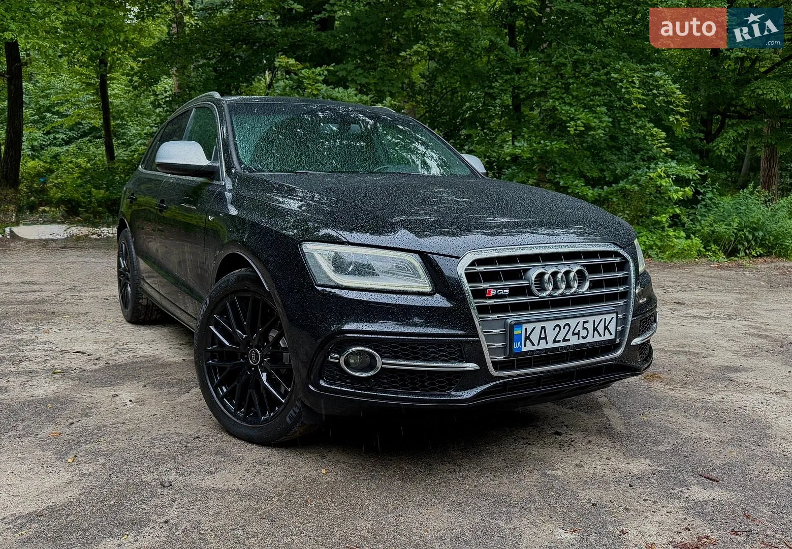 2013 Audi SQ5 - фото 1