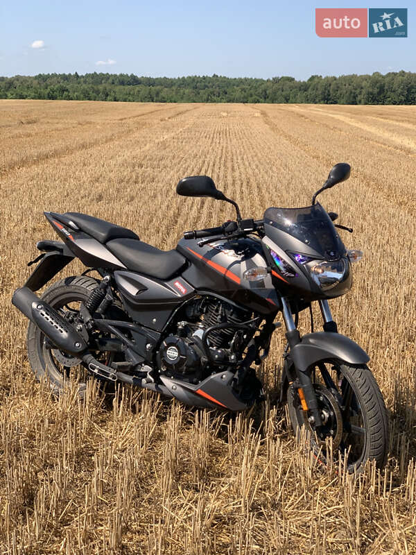 Мотоцикл Классік Bajaj Pulsar 180 2024 в Бродах фото Мотоцикл Классік Bajaj Pulsar 180 2024 в Бродах