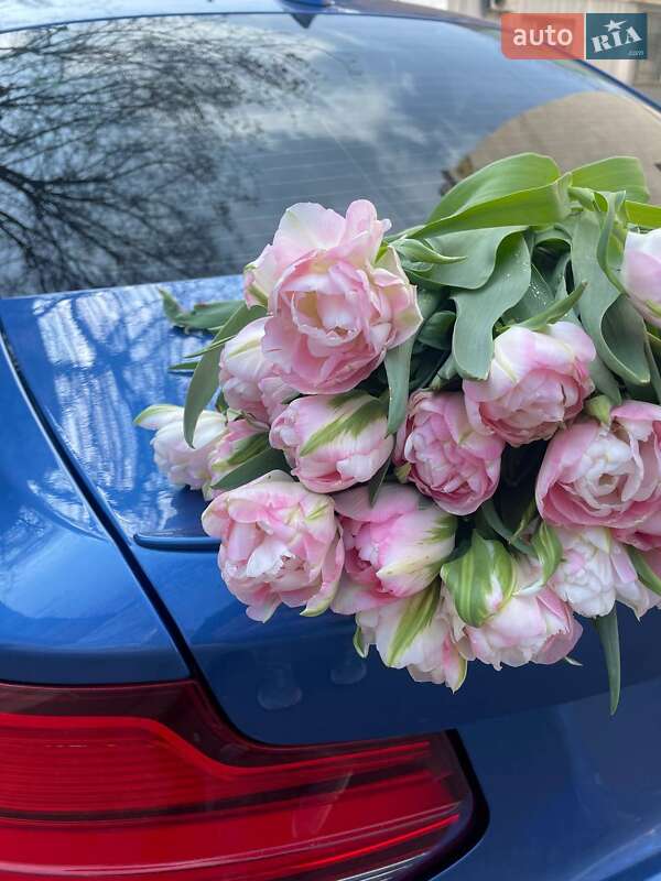 Купе BMW 2 Series 2016 в Одесі фото 17 Купе BMW 2 Series 2016 в Одесі