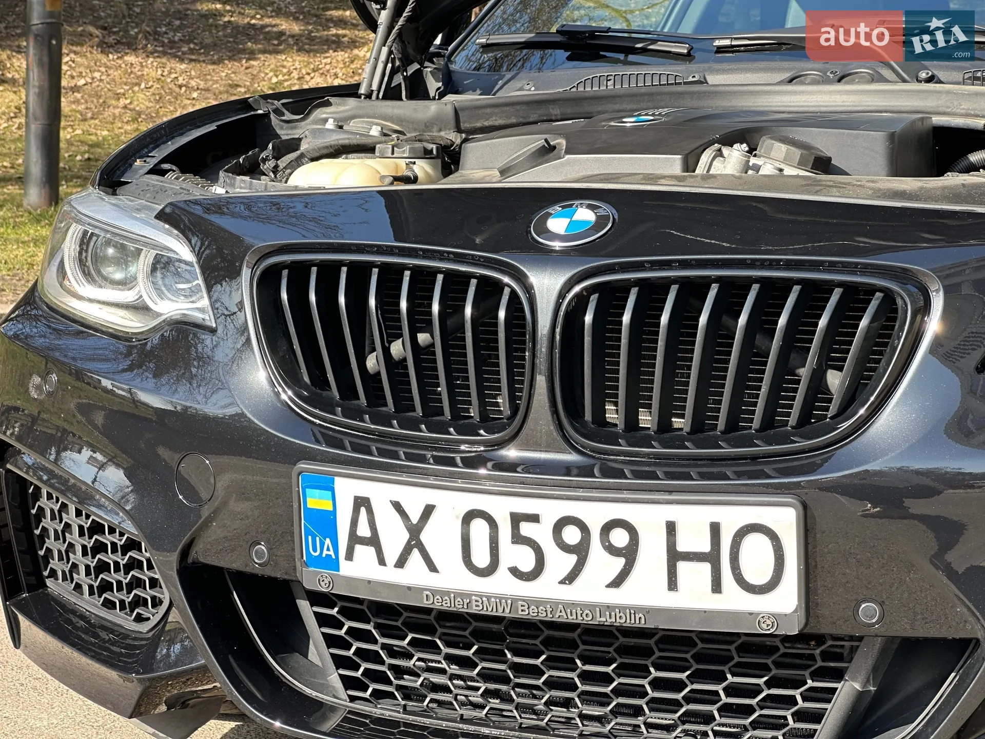 2015 BMW 2er - мініатюра 33