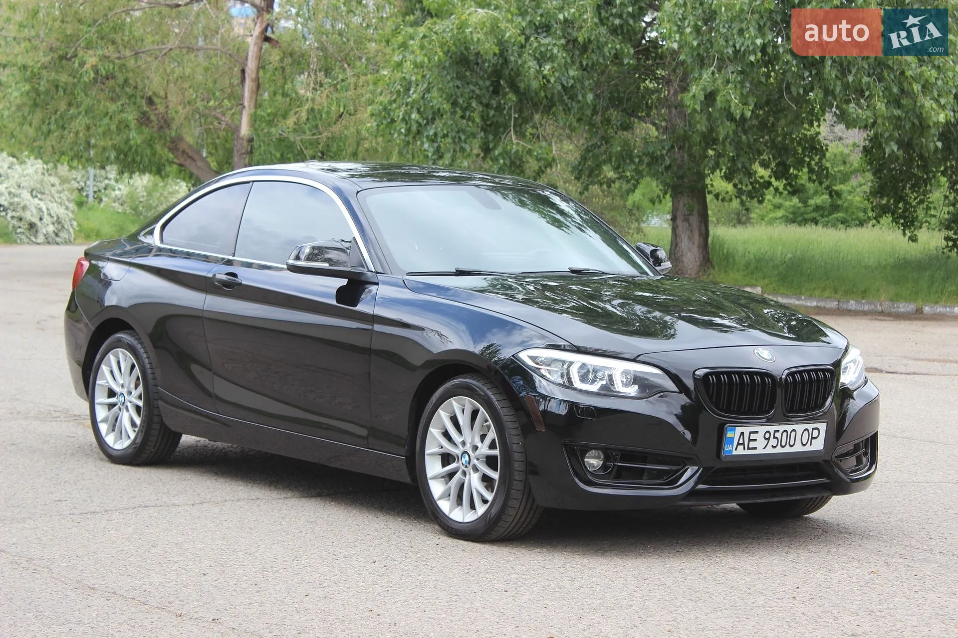 2015 BMW 2er - мініатюра 8