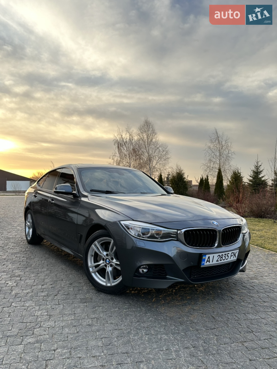 2016 BMW 3er - мініатюра 22