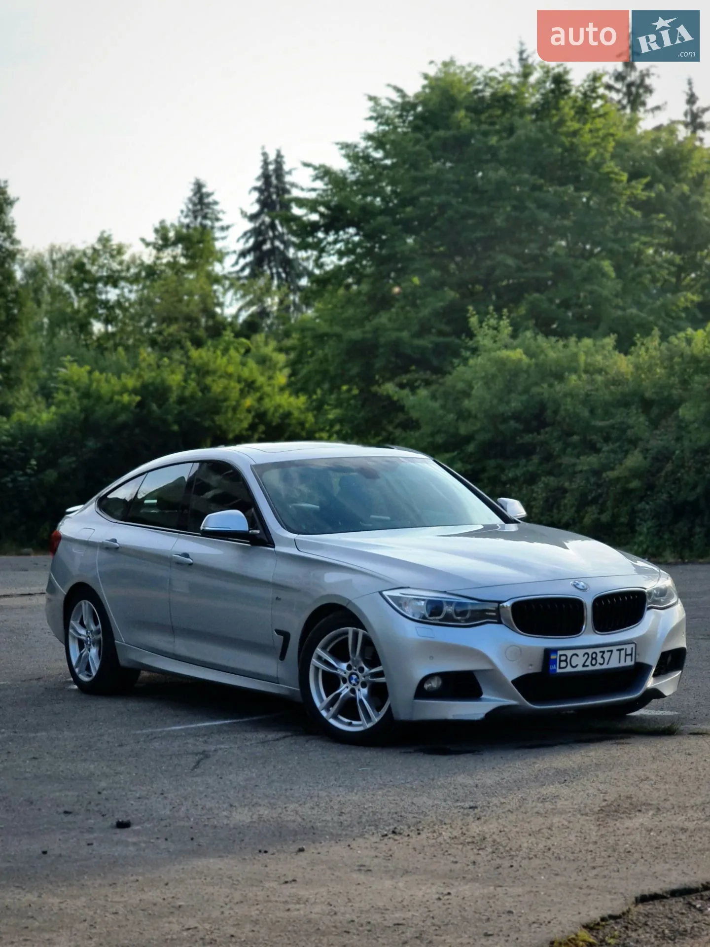 2013 BMW 3er - мініатюра 5