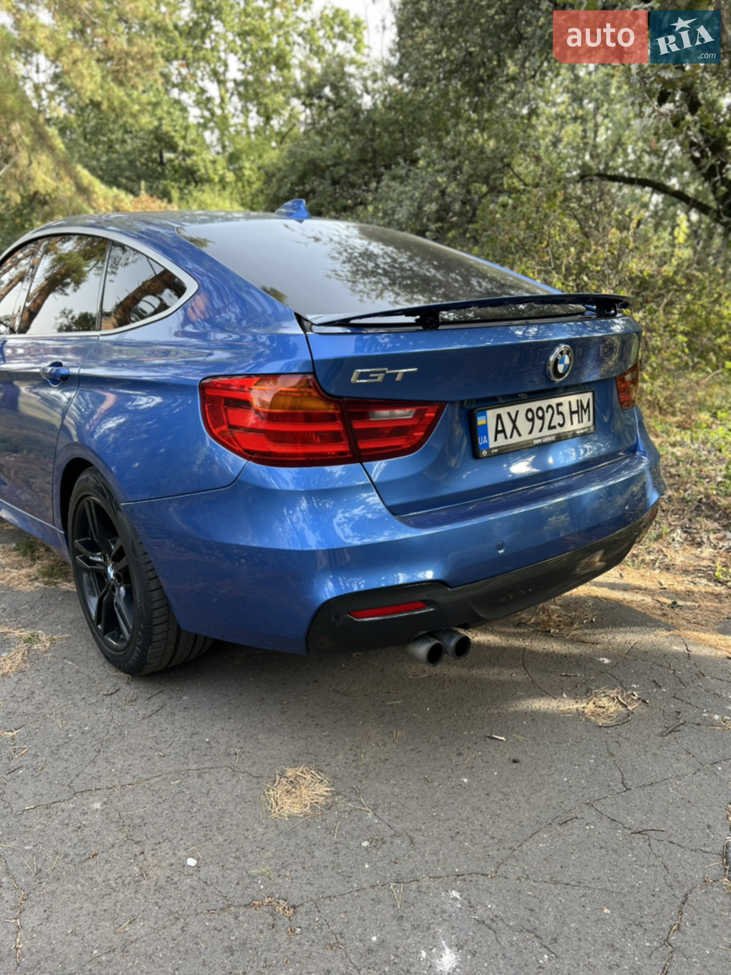 2014 BMW 3er - мініатюра 24