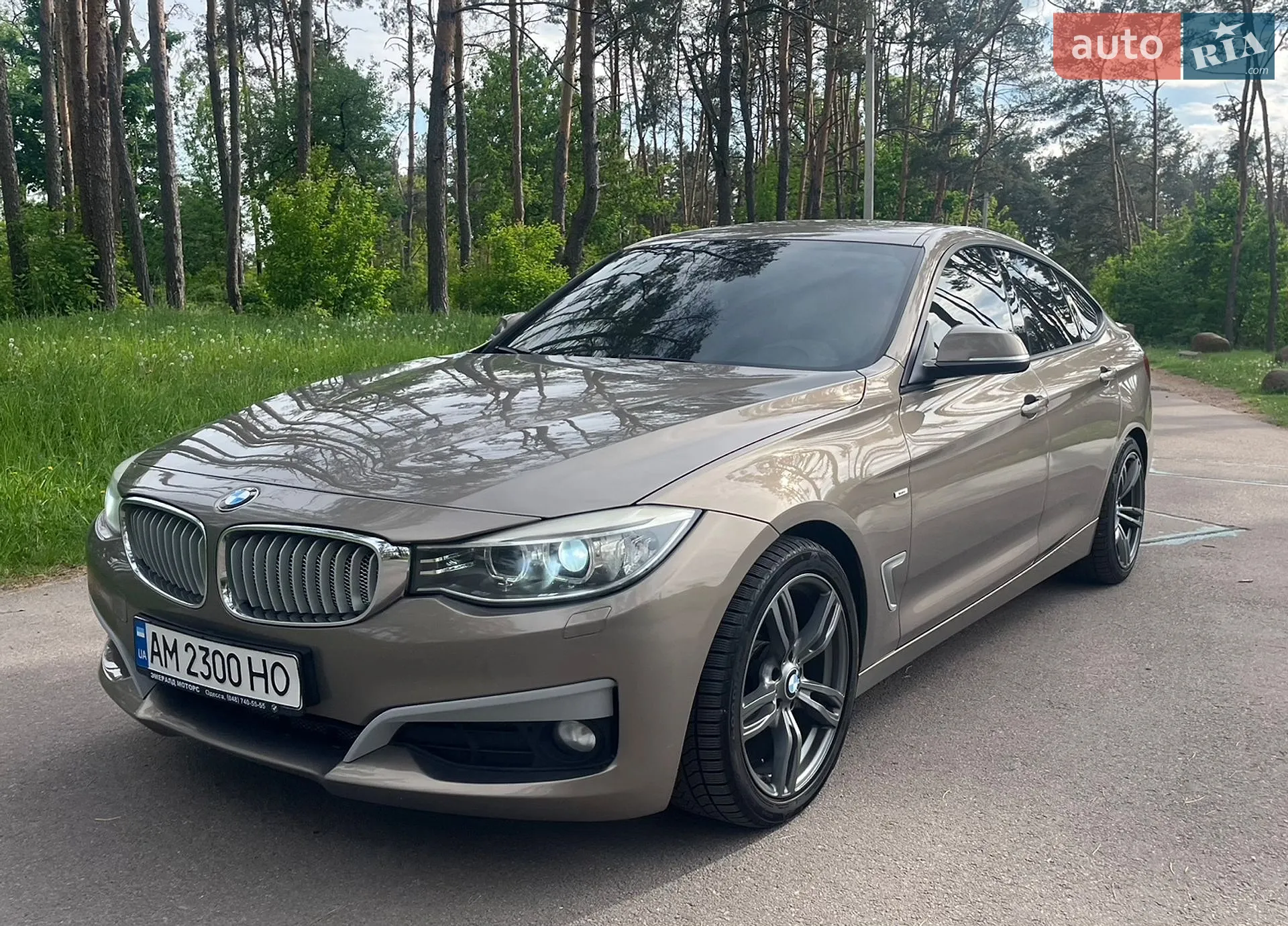 2013 BMW 3er - мініатюра 12