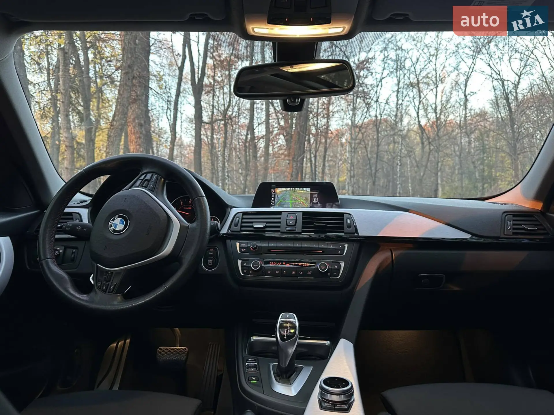 2013 BMW 3er - мініатюра 39