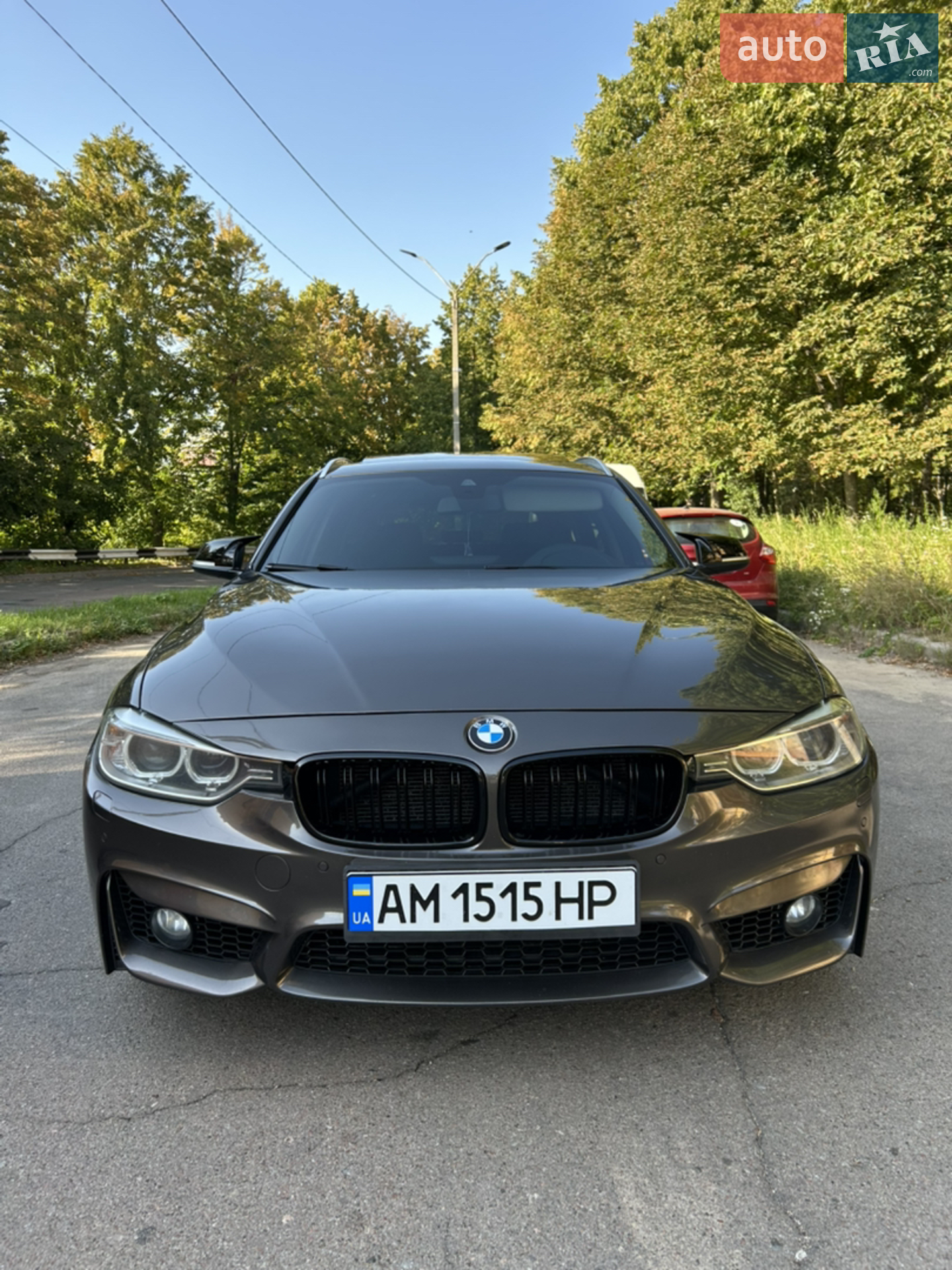 2013 BMW 3er - фото 1